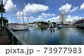 海外旅行 73977983