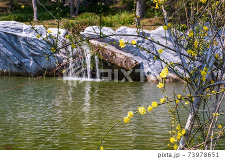 水辺の花 73978651