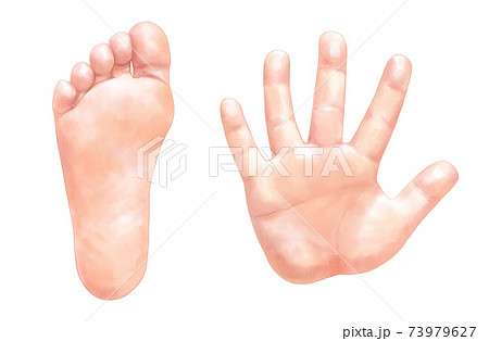 子供の手のひらと足の裏の孤立したリアルイラスト のイラスト素材