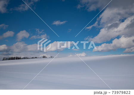 1月美瑛晴れ渡る空の下の雪原 1月美瑛晴れ渡る空の下の雪原 73979822
