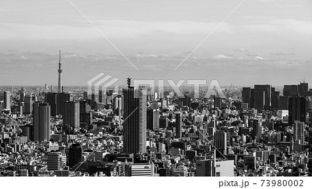 東京スカイツリーと都市風景　モノクロ 73980002