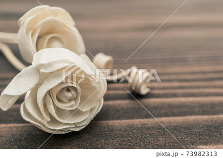 ドライフラワー 背景 ドライフラワー 背景 73982313