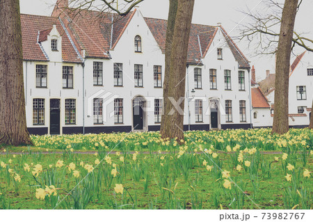 Bruges Beguinage with its colorful tulip fields and houses. Belgium. 73982767
