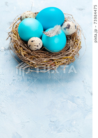 Colorful easter eggs 73984475