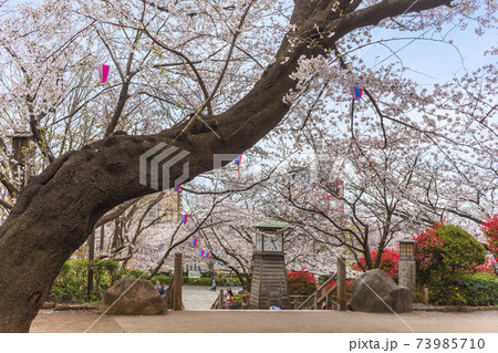 東京 王子 飛鳥山公園の時計台と花見の様子の写真素材