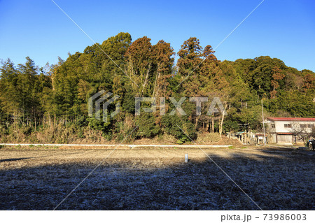 神奈川県横浜市戸塚区の原風景の舞岡公園の田んぼ（冬編） 73986003