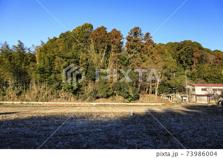 神奈川県横浜市戸塚区の原風景の舞岡公園の田んぼ（冬編） 73986004