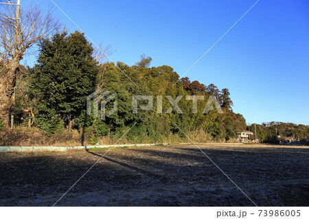 神奈川県横浜市戸塚区の原風景の舞岡公園の田んぼ（冬編） 73986005