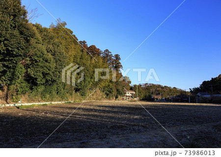 神奈川県横浜市戸塚区の原風景の舞岡公園の田んぼ(冬編) 神奈川県横浜市戸塚区の原風景の舞岡公園の田んぼ(冬編) 73986013