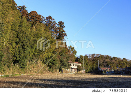 神奈川県横浜市戸塚区の原風景の舞岡公園の田んぼ（冬編） 73986015