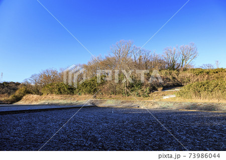 神奈川県横浜市戸塚区の原風景の舞岡公園の田んぼ（冬編） 73986044