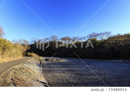 神奈川県横浜市戸塚区の原風景の舞岡公園の田んぼ（冬編） 73986054