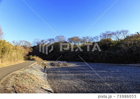 神奈川県横浜市戸塚区の原風景の舞岡公園の田んぼ（冬編） 73986055