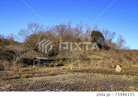 神奈川県横浜市戸塚区の原風景の舞岡公園の田んぼ（冬編） 73986135