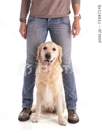 dog between the legs of his mistress dog between the legs of his mistress 73987146