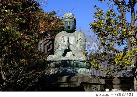 1月 台東149天王寺大仏・銅造釈迦如来座像(谷中) 1月 台東149天王寺大仏・銅造釈迦如来座像(谷中) 73987401