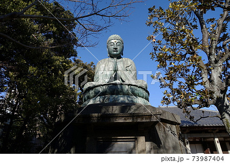 1月　台東146天王寺大仏･銅造釈迦如来座像(谷中) 73987404