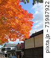 秋　高野山紅葉 73987922