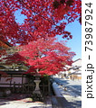 秋　高野山紅葉 73987924