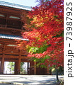 秋　高野山紅葉 73987925