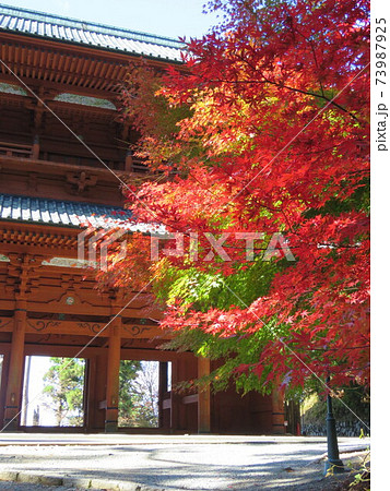 秋 高野山紅葉 秋 高野山紅葉 73987925