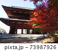 秋　高野山紅葉 73987926