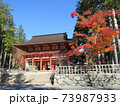 秋　高野山紅葉 73987933