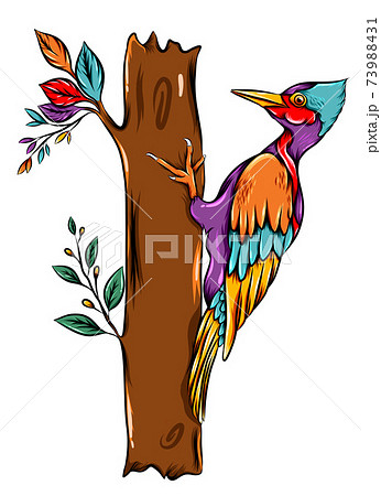 The Woodpecker With The Colorful Bird Feathersのイラスト素材 The Woodpecker With The Colorful Bird Feathersのイラスト素材