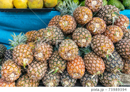 Pile of fresh pineapple for sale at Philippines fruit market 73989394