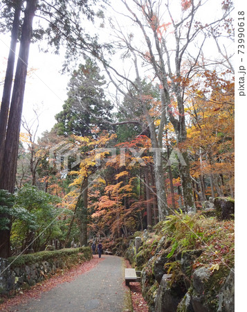 紅葉景色 紅葉景色 73990618