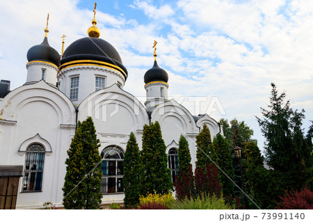 Trinity cathedral of St. Tikhon's Transfiguration convent in Zadonsk, Russia 73991140