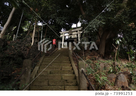 大森　荒藺ヶ崎熊野神社 73991253