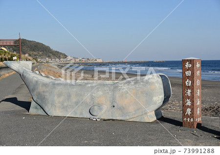 冬の和田浦海岸とクジラのモニュメント 冬の和田浦海岸とクジラのモニュメント 73991288