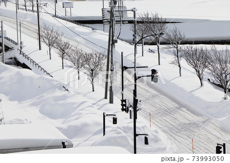 高所から望む上越市街の雪景色 高所から望む上越市街の雪景色 73993050