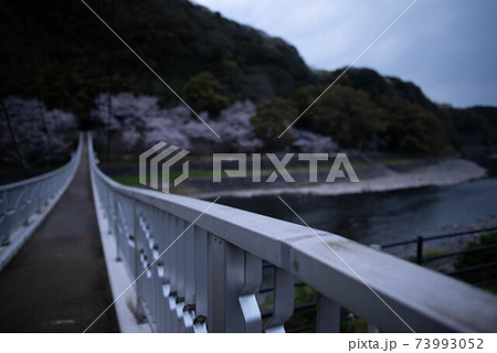 宇佐市 鷹栖つり橋公園 宇佐市 鷹栖つり橋公園 73993052