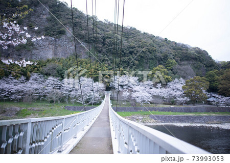 宇佐市　鷹栖つり橋公園 73993053