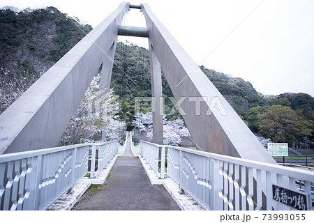 宇佐市　鷹栖つり橋公園 73993055