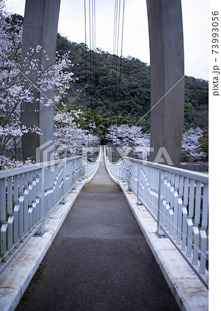 宇佐市　鷹栖つり橋公園 73993056