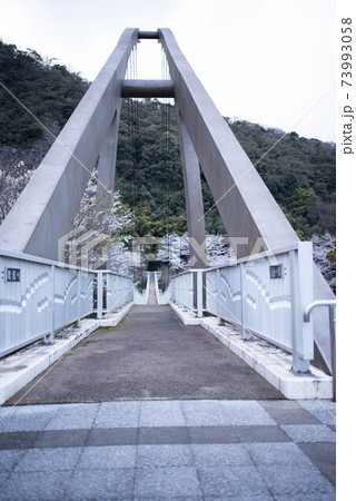 宇佐市 鷹栖つり橋公園 宇佐市 鷹栖つり橋公園 73993058