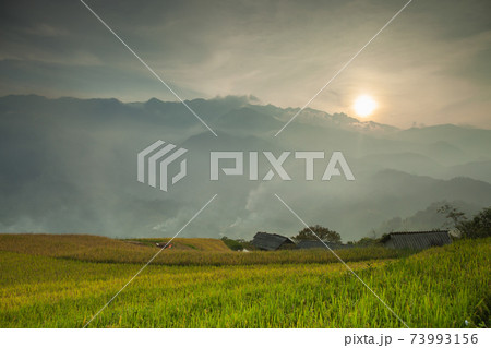 green field of rice terrace againts sky green field of rice terrace againts sky 73993156