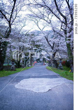 宇佐市（院内町）　香下神社 73993290