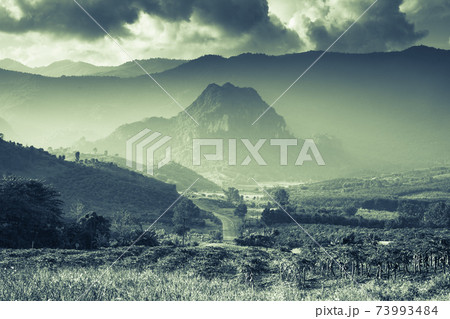foggy above mountain againts sky foggy above mountain againts sky 73993484