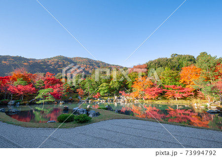 秋の天龍寺 73994792