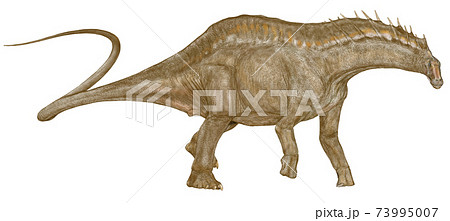 アマルガサウルス。白亜紀前期に今のアルゼンチンに生息していた奇妙な帆をもった竜脚類。竜脚類。 73995007