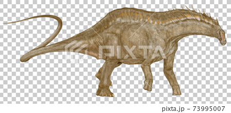 アマルガサウルス。白亜紀前期に今のアルゼンチンに生息していた奇妙な帆をもった竜脚類。竜脚類。 73995007