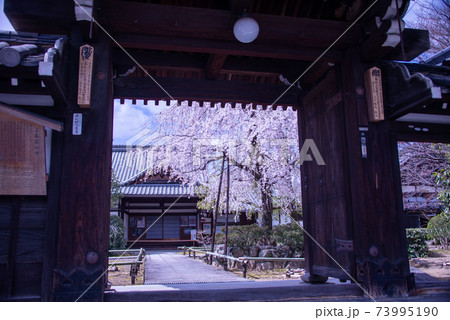 山門 上品蓮台寺 山門 上品蓮台寺 73995190