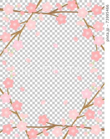 Sakura 141 Sakura 73995466