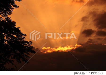 天に向かって広がる光の帯　薄明光線　天使の梯子 73995527