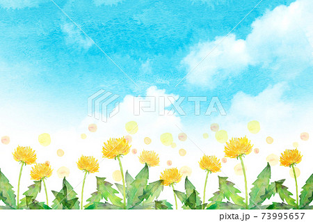 水彩イラスト　たんぽぽと青空 73995657