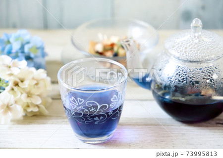 ガラスのティーポットにバタフライピーの青いハーブティー ガラスのティーポットにバタフライピーの青いハーブティー 73995813